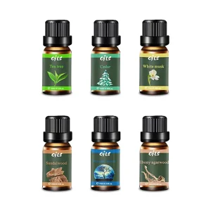 Aromatherapy Set 6 Natural Essential Oils 10ml