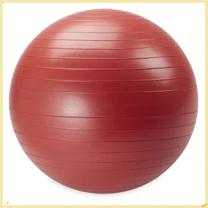 Home Gym Weighted Stability Ball